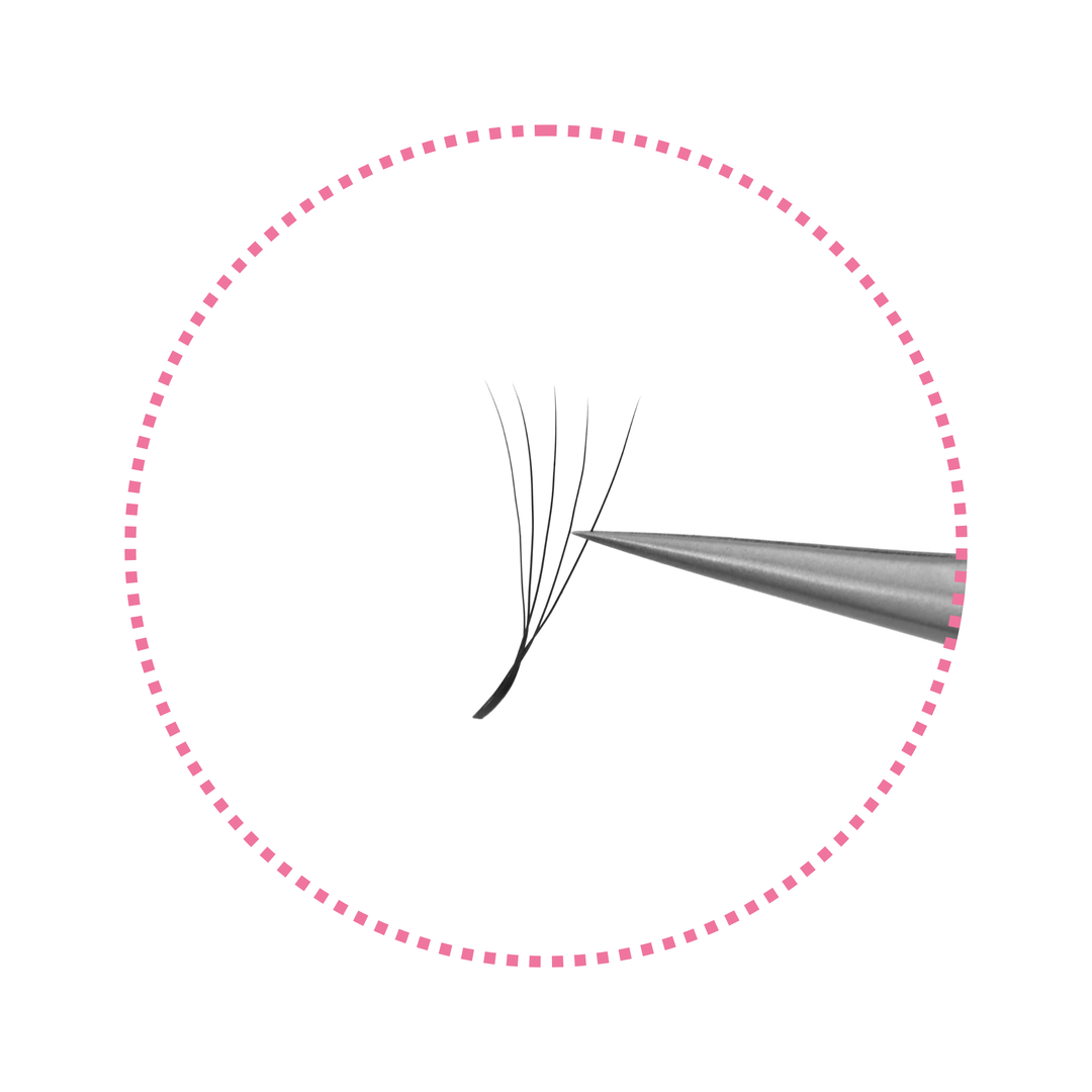 Narrow 3/4/5D W-Shaped Lashes | 0.07mm C/D/M Curl
