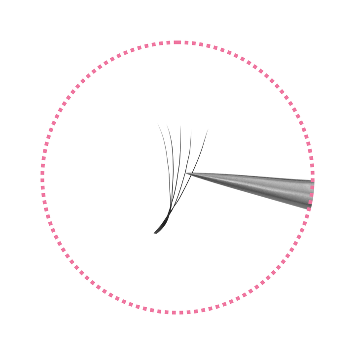 Narrow 3/4/5D W-Shaped Lashes | 0.07mm C/D/M Curl