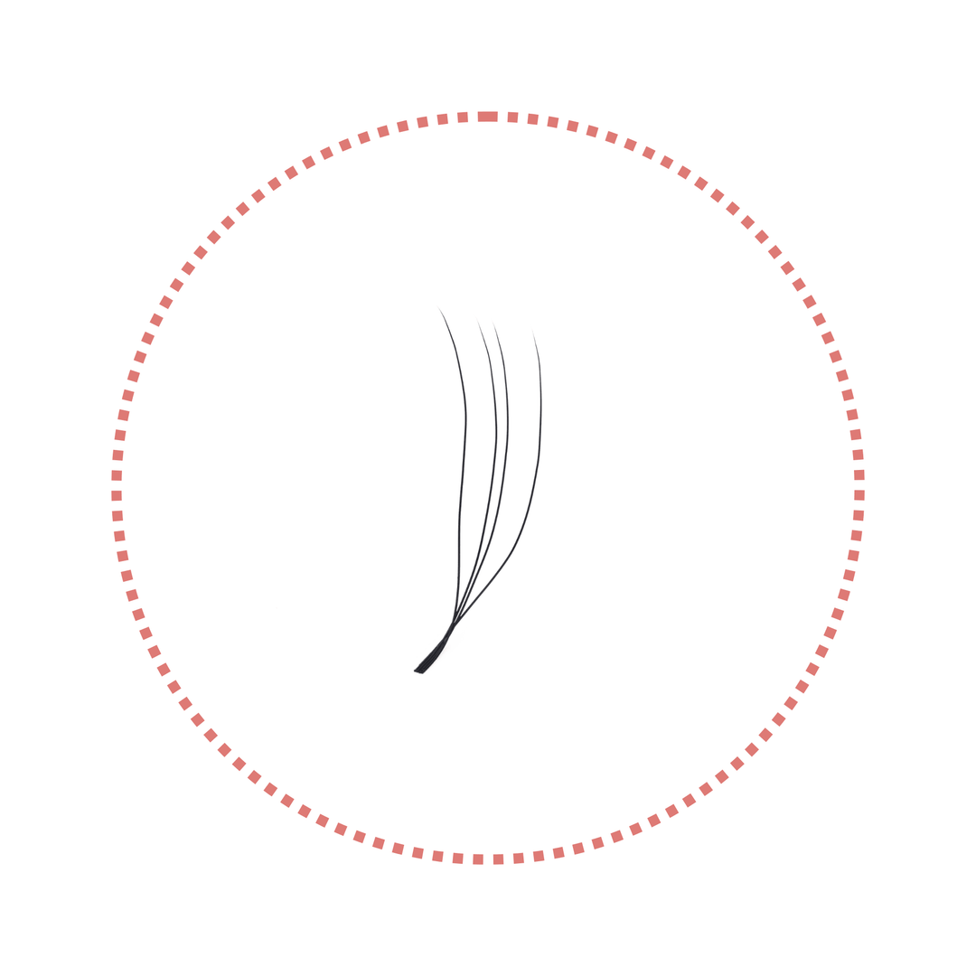 2/3/4/5D U-Shape Lashes | 0.07mm C/D/M Curl - jemedo.com
