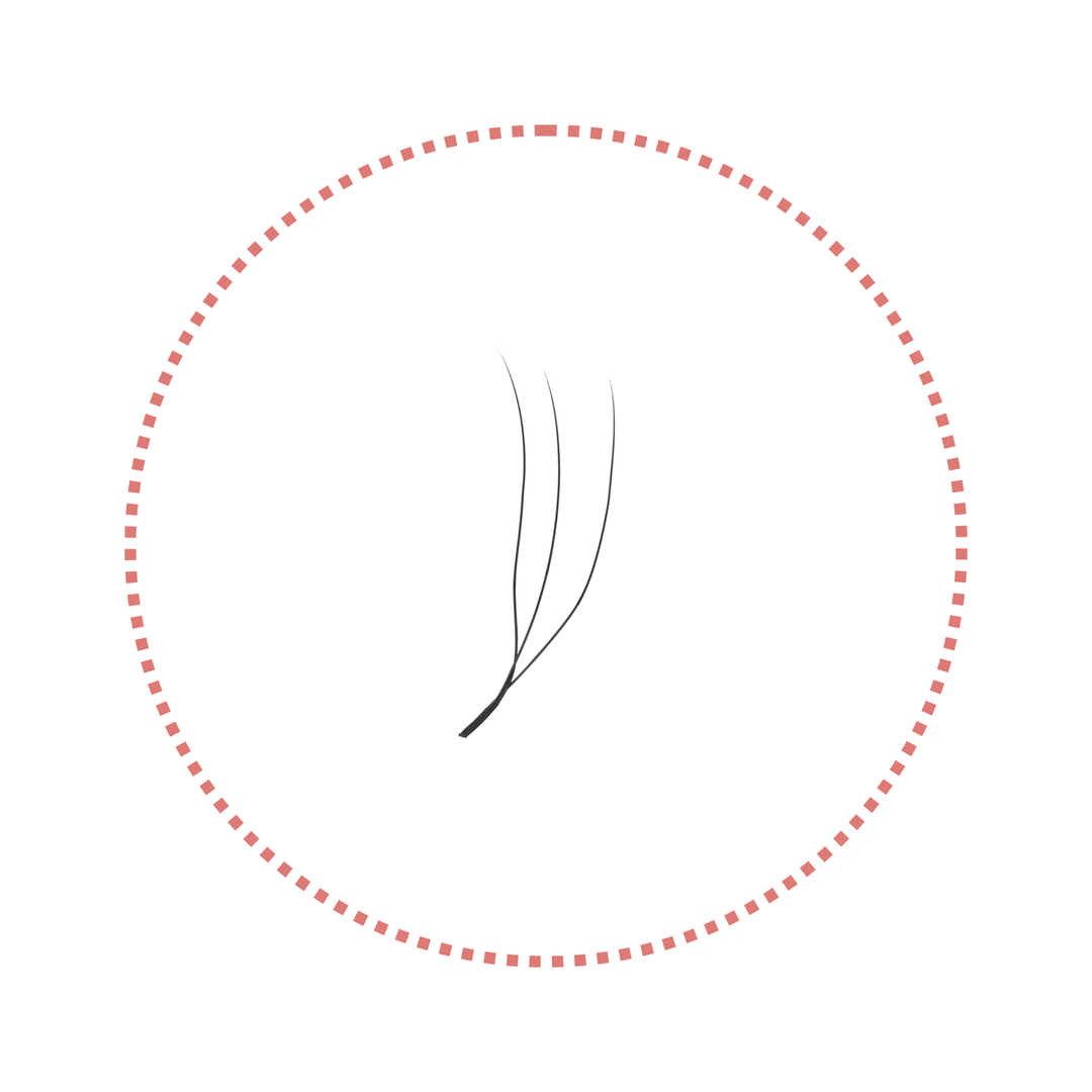 2/3/4/5D U-Shape Lashes | 0.07mm C/D/M Curl - jemedo.com