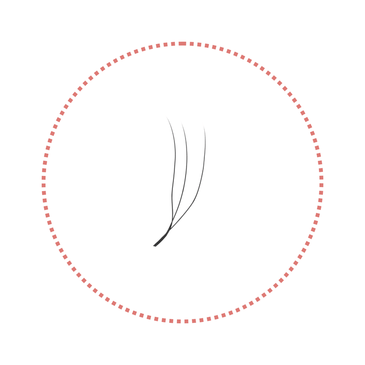 2/3/4/5D U-Shape Lashes | 0.07mm C/D/M Curl - jemedo.com