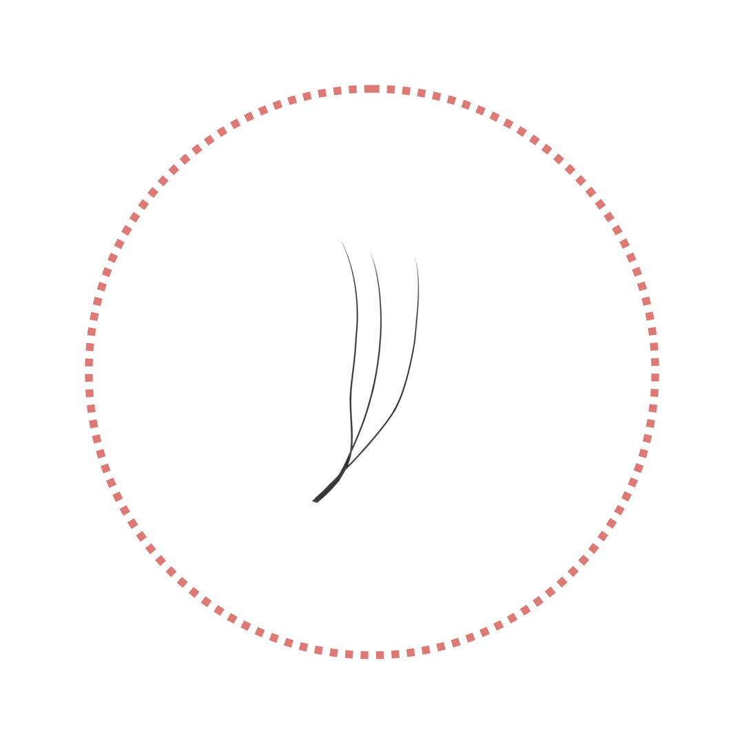 2/3/4/5D U-Shape Lashes | 0.07mm C/D/M Curl