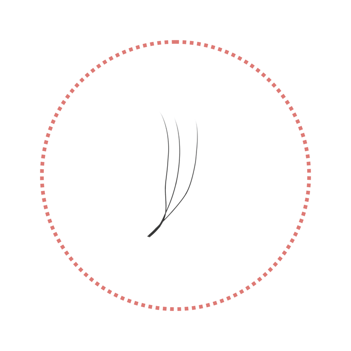 2/3/4/5D U-Shape Lashes | 0.07mm C/D/M Curl