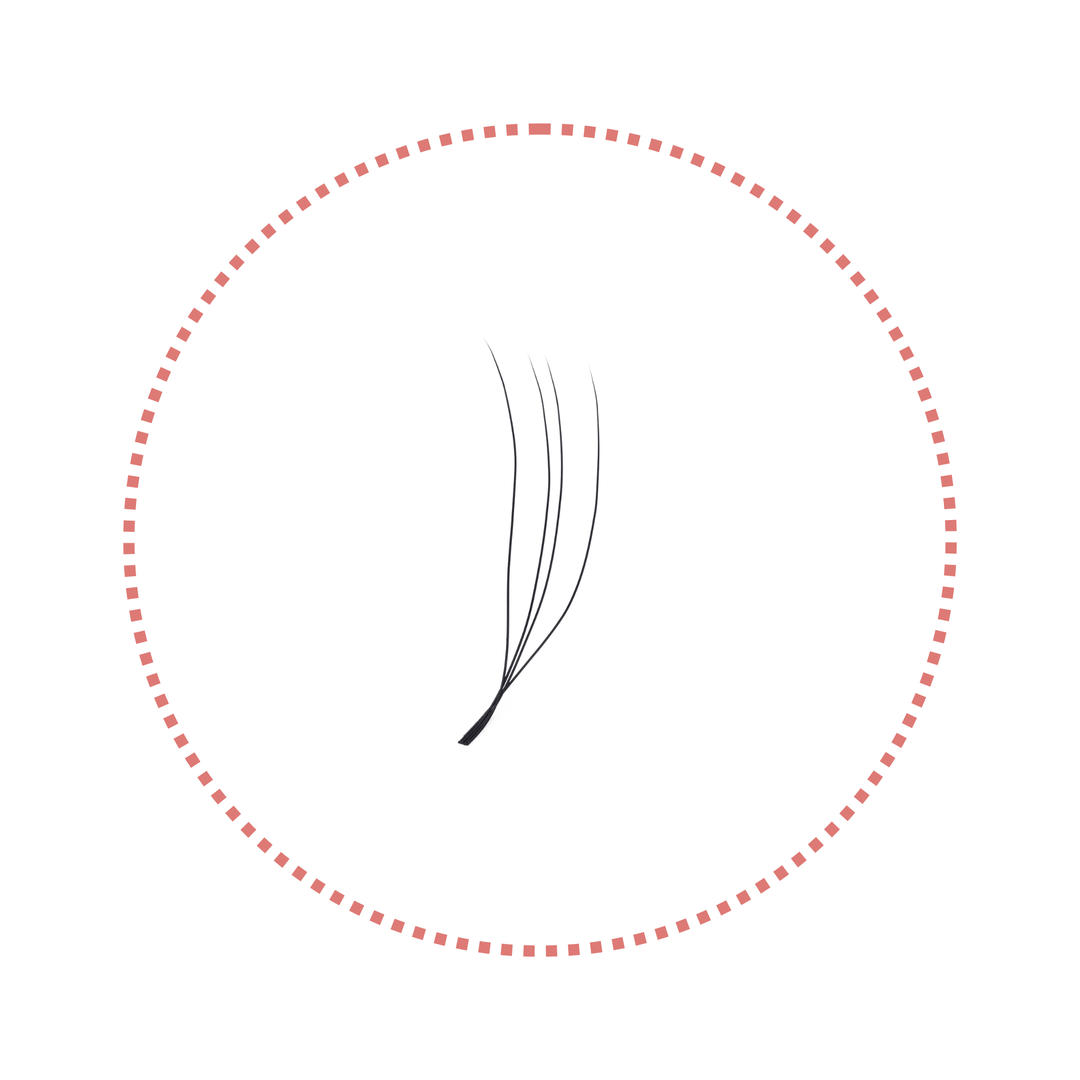 2/3/4/5D U-Shape Lashes | 0.07mm C/D/M Curl