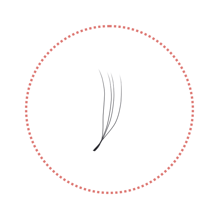 2/3/4/5D U-Shape Lashes | 0.07mm C/D/M Curl