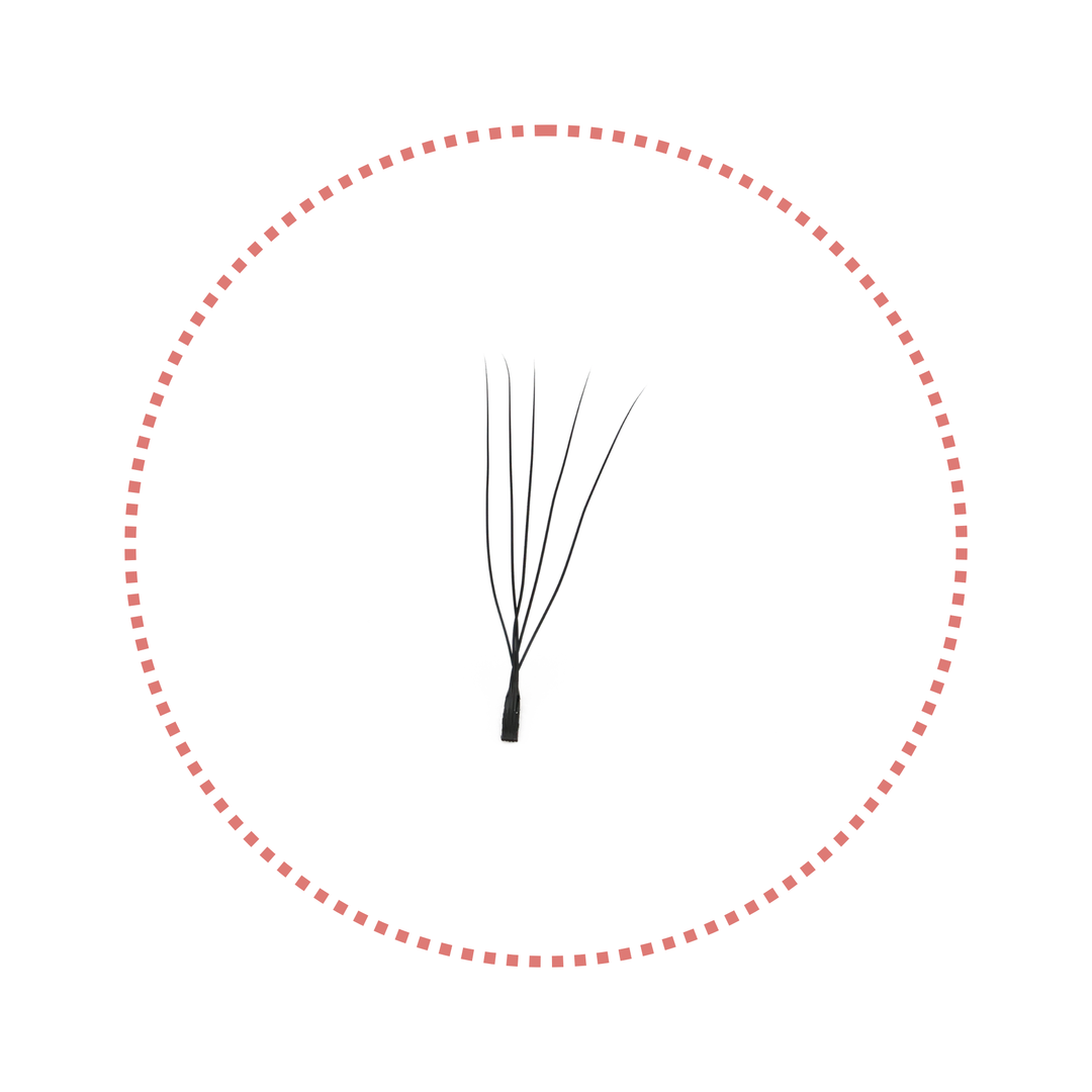 2/3/4/5D U-Shape Lashes | 0.07mm C/D/M Curl