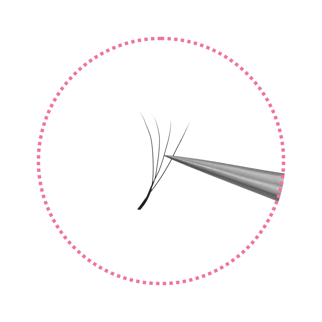 Narrow 3/4/5D W-Shaped Lashes | 0.07mm C/D/M Curl