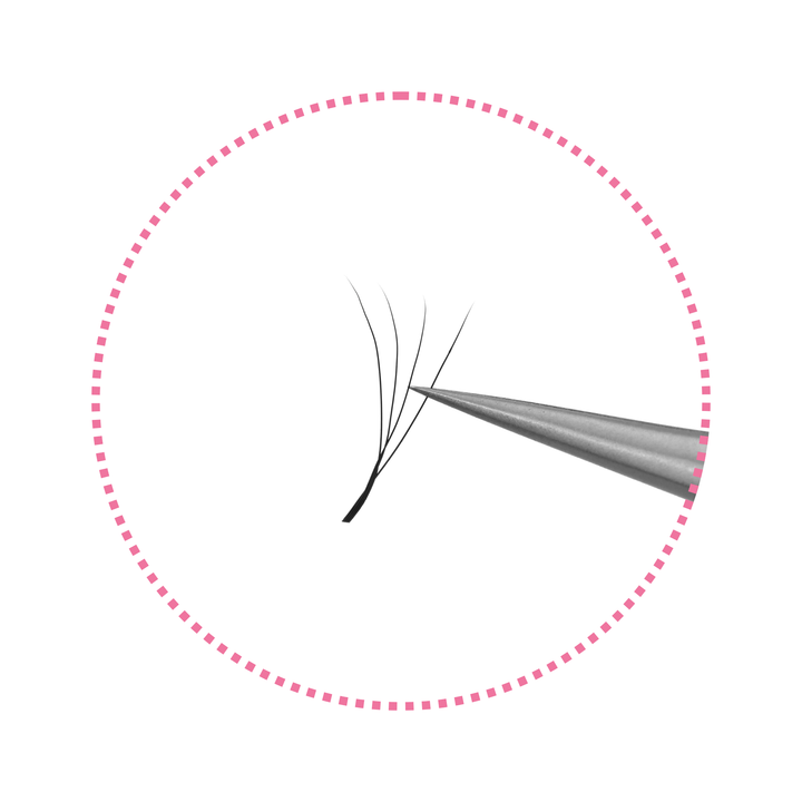Narrow 3/4/5D W-Shaped Lashes | 0.07mm C/D/M Curl